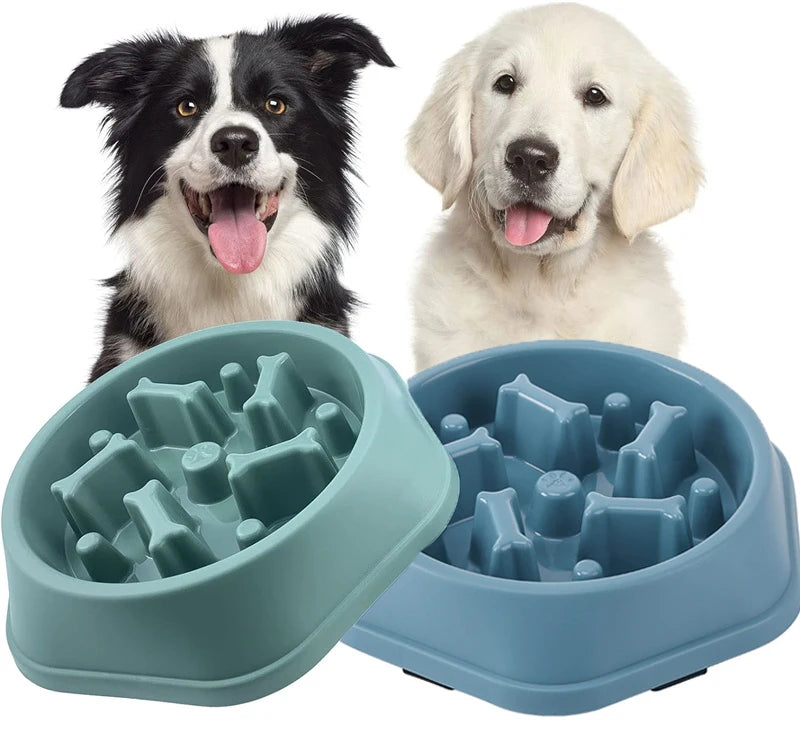 Slow Feeder Bowl – Puzzle Pet Food Dish