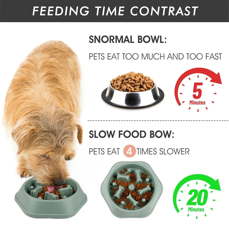 Slow Feeder Bowl – Puzzle Pet Food Dish