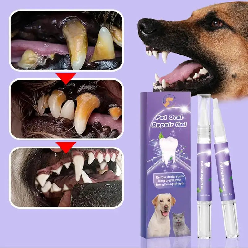 Gel buccal naturel pour animaux de compagnie – Soins des dents et des gencives pour chats et chiens