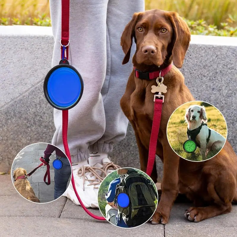 Collapsible Travel Slow Feeder Bowl