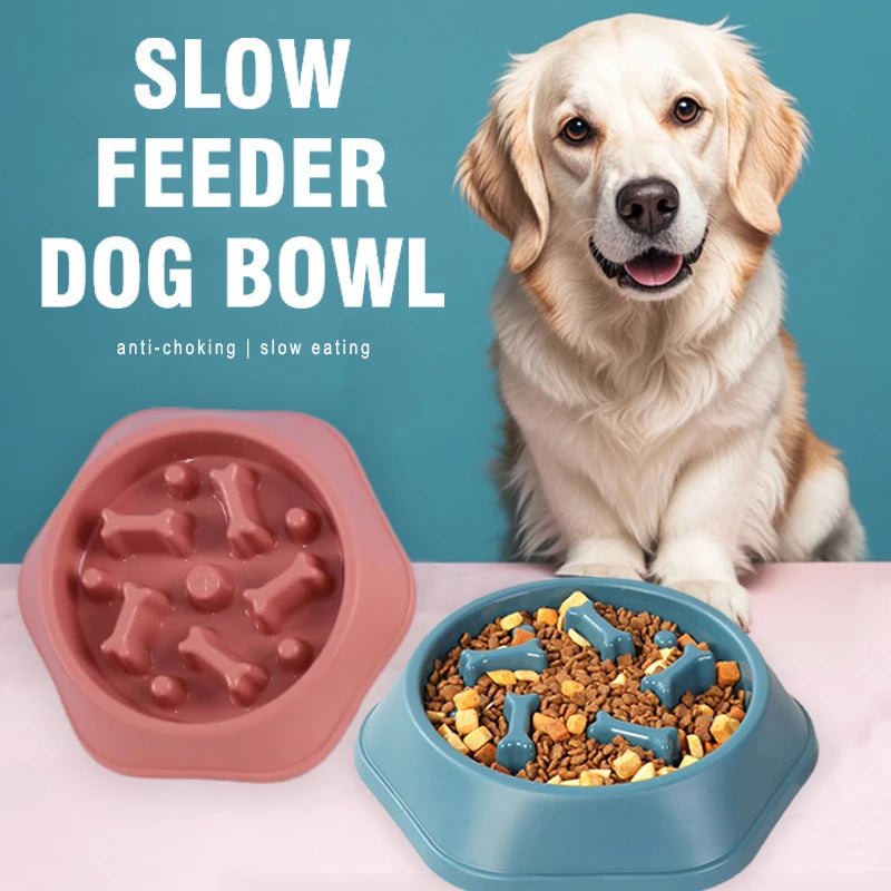 Slow Feeder Bowl – Puzzle Pet Food Dish