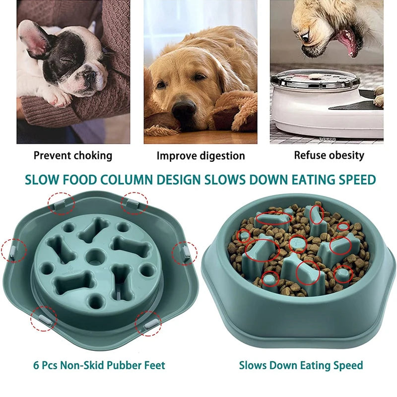 Slow Feeder Bowl – Puzzle Pet Food Dish