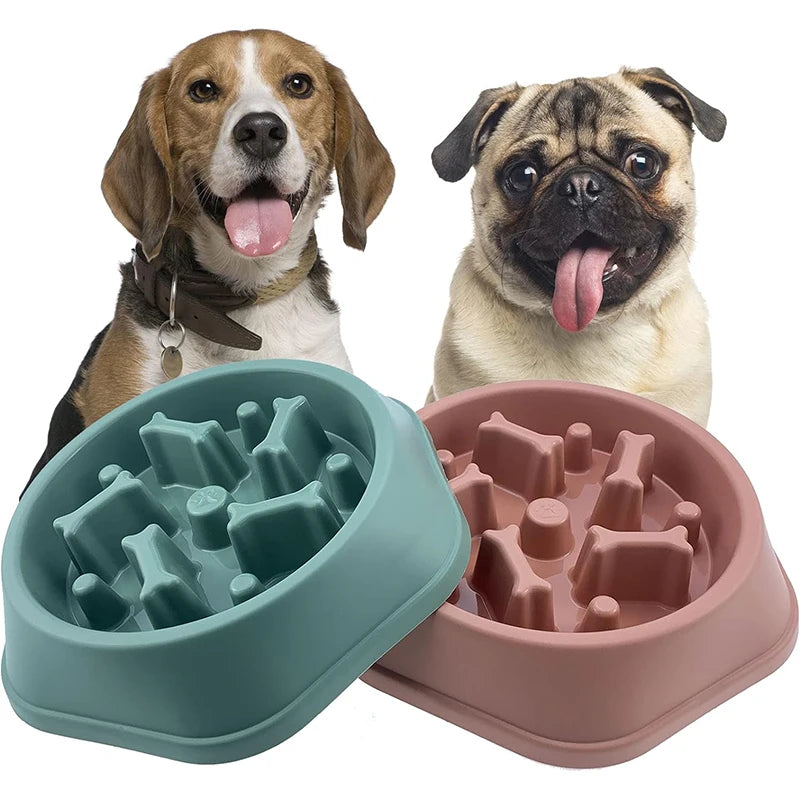Slow Feeder Bowl – Puzzle Pet Food Dish