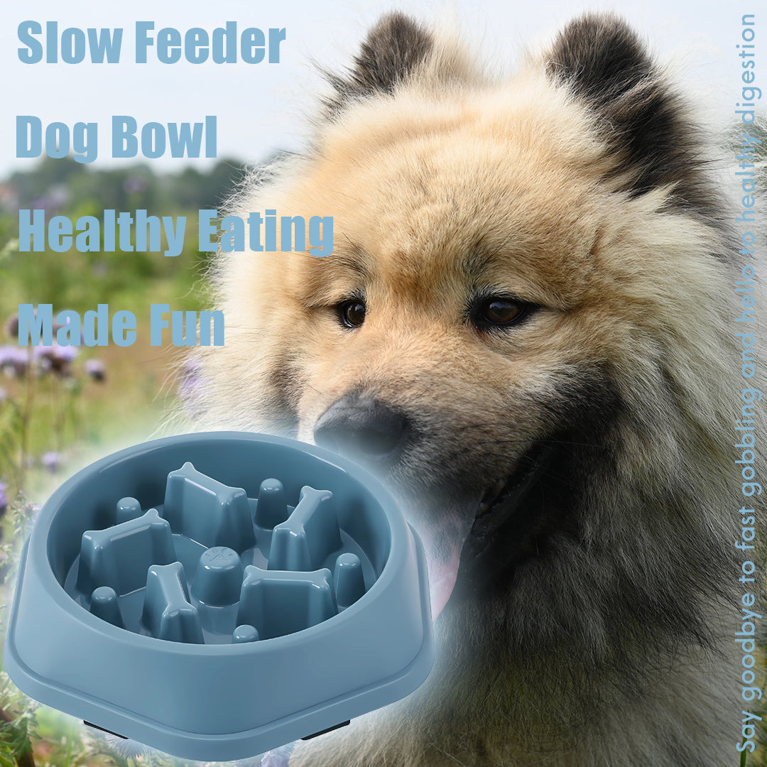 Slow Feeder Bowl – Puzzle Pet Food Dish