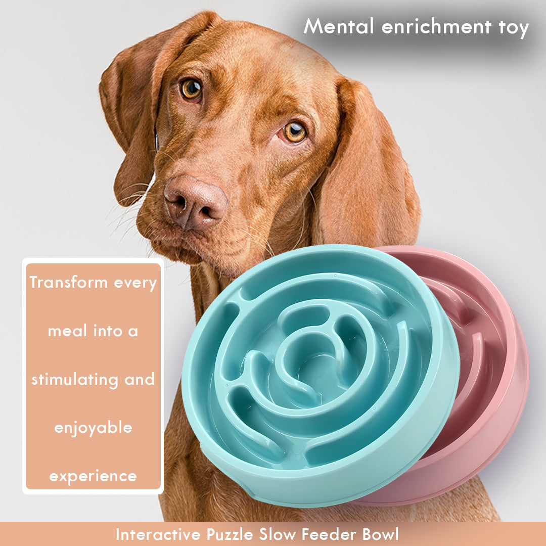 Interactive Puzzle Slow Feeder Bowl