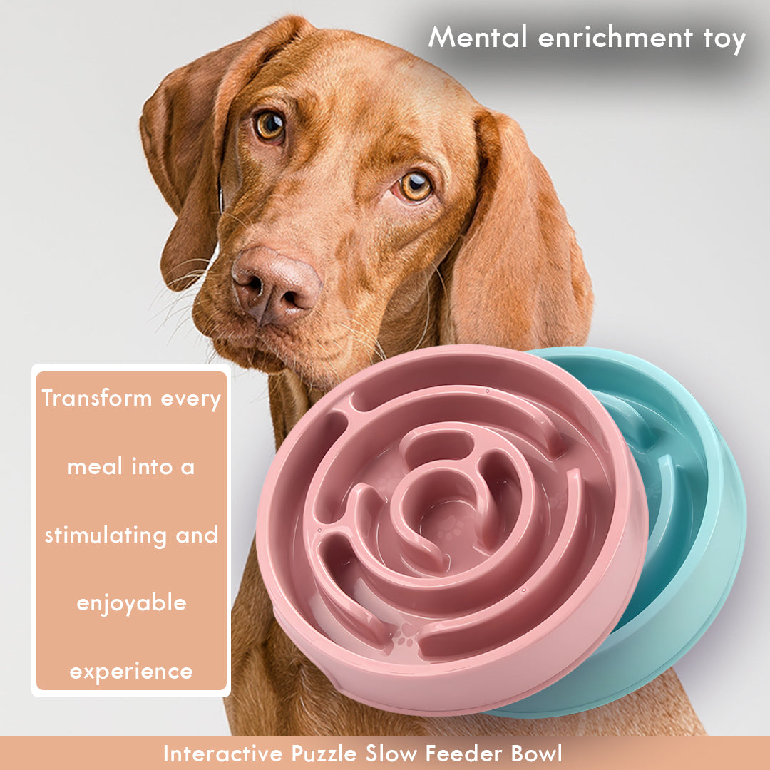 Interactive Puzzle Slow Feeder Bowl