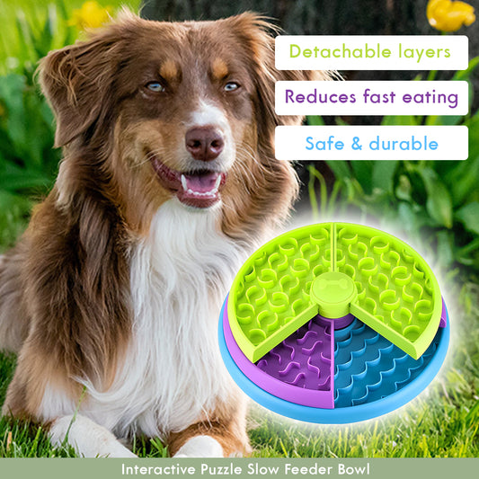 Interactive Puzzle Slow Feeder Bowl