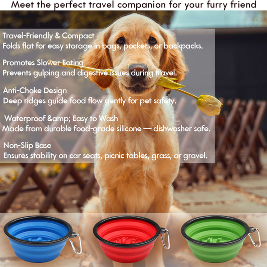 Collapsible Travel Slow Feeder Bowl
