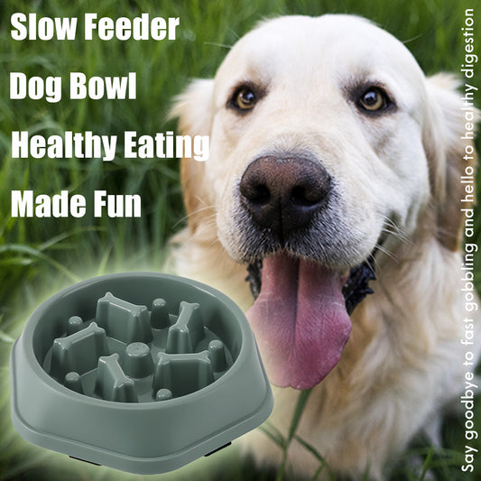 Slow Feeder Bowl – Puzzle Pet Food Dish