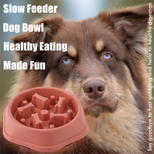 Slow Feeder Bowl – Puzzle Pet Food Dish